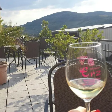 Weingut & Gaestehaus Andreas Erz Apartment *