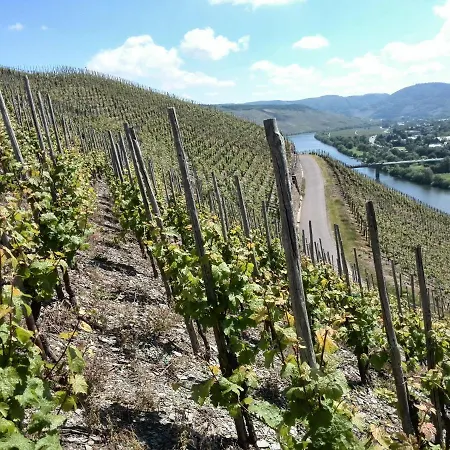 Weingut & Gaestehaus Andreas Erz Apartment Brauneberg