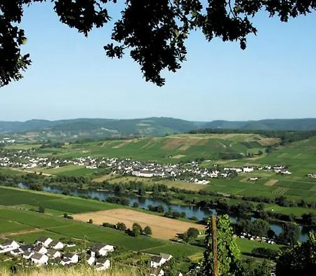 Weingut & Gaestehaus Andreas Erz Brauneberg