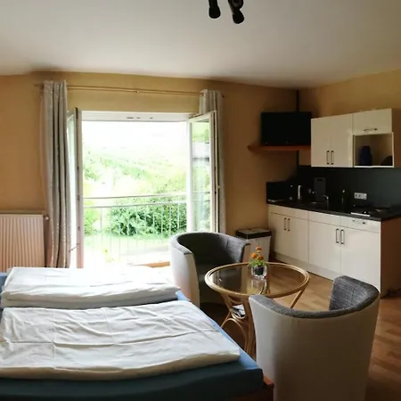 Weingut & Gaestehaus Andreas Erz Apartment