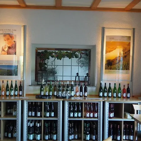 Apartment Weingut & Gaestehaus Andreas Erz Brauneberg