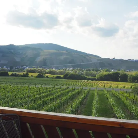 Weingut & Gaestehaus Andreas Erz Apartment *