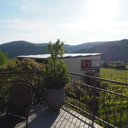 Apartment Weingut & Gaestehaus Andreas Erz *