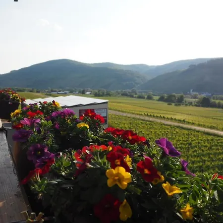 Weingut&gästehaus Andreas Erz * Brauneberg