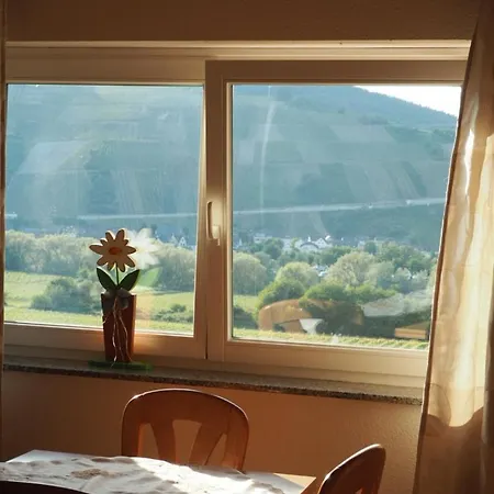 Weingut & Gaestehaus Andreas Erz Apartment