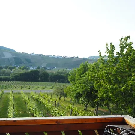 Lejlighed Weingut & Gaestehaus Andreas Erz Brauneberg