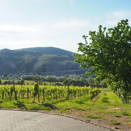 Apartment Weingut&gästehaus Andreas Erz