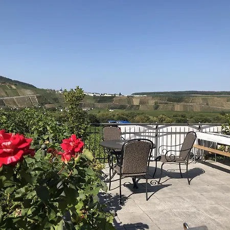 Weingut&gästehaus Andreas Erz Apartment