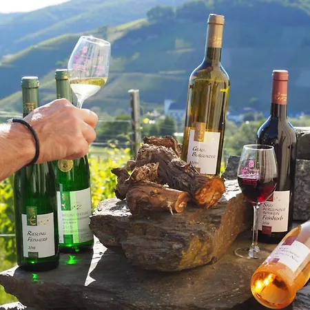 Weingut & Gaestehaus Andreas Erz Apartment
