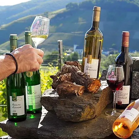 Weingut & Gaestehaus Andreas Erz Lejlighed *