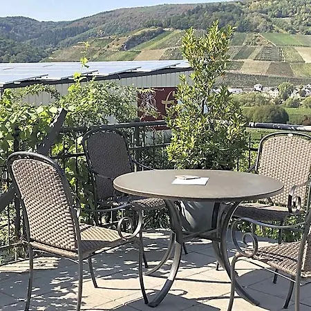 Lejlighed Weingut & Gaestehaus Andreas Erz Brauneberg