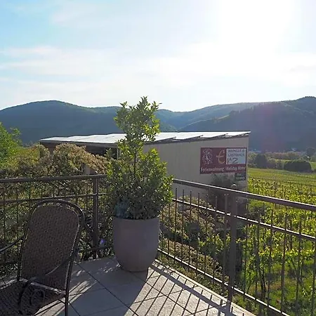 Weingut & Gaestehaus Andreas Erz Lejlighed *