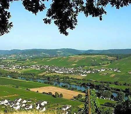 Weingut & Gaestehaus Andreas Erz Lejlighed Brauneberg