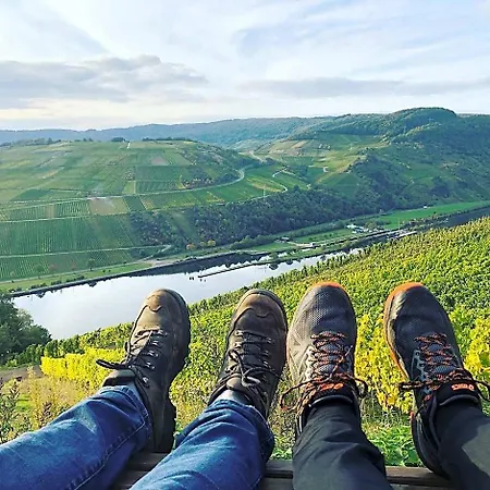 Lejlighed Weingut & Gaestehaus Andreas Erz *
