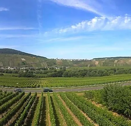 Weingut & Gaestehaus Andreas Erz Lejlighed Brauneberg