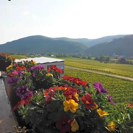 Lejlighed Weingut & Gaestehaus Andreas Erz Brauneberg