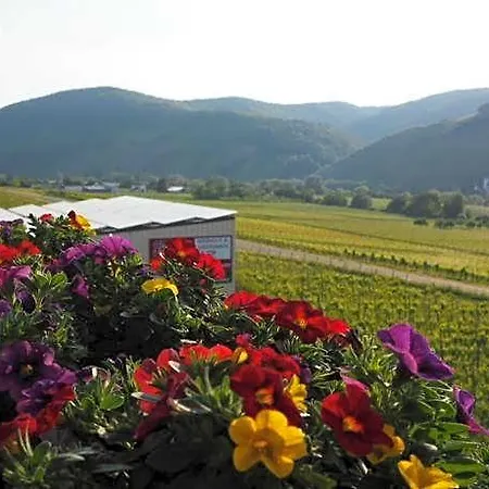 Lejlighed Weingut & Gaestehaus Andreas Erz Brauneberg