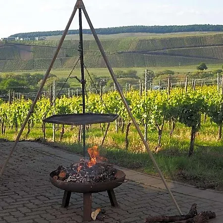 Weingut & Gaestehaus Andreas Erz * Brauneberg