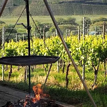 Weingut & Gaestehaus Andreas Erz Lejlighed *