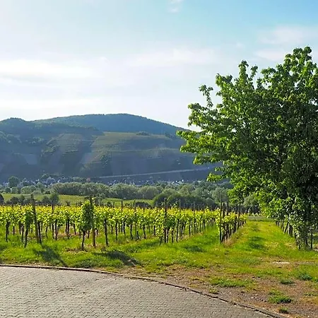 Weingut & Gaestehaus Andreas Erz * Brauneberg