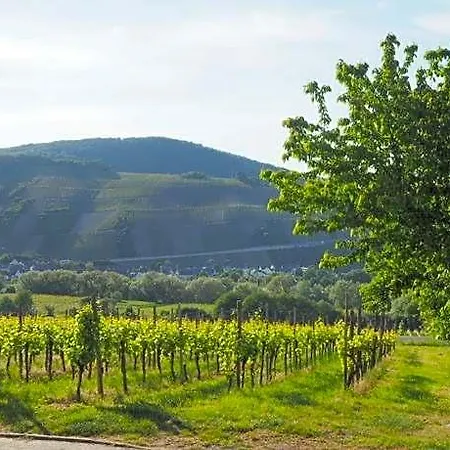 Lejlighed Weingut & Gaestehaus Andreas Erz