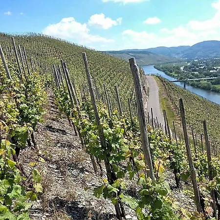 Weingut & Gaestehaus Andreas Erz *