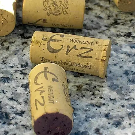 Weingut & Gaestehaus Andreas Erz Lejlighed *