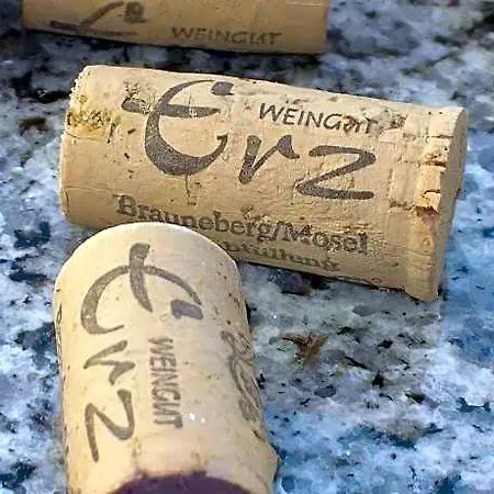 Lejlighed Weingut & Gaestehaus Andreas Erz