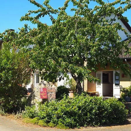 Apartmán Weingut & Gaestehaus Andreas Erz Brauneberg