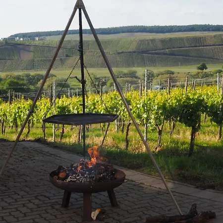 Weingut&gästehaus Andreas Erz * Brauneberg