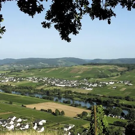 Weingut&gästehaus Andreas Erz Apartment Brauneberg