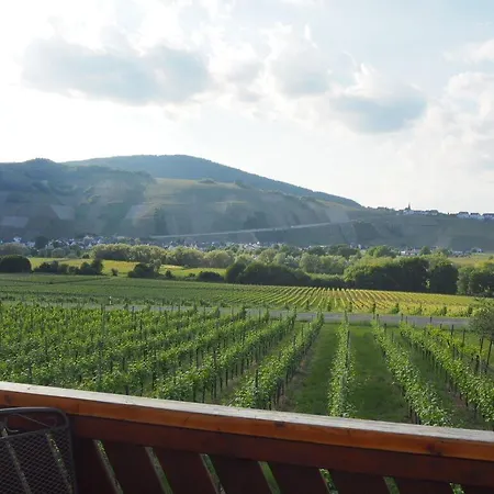 Weingut & Gaestehaus Andreas Erz Apartmán Brauneberg
