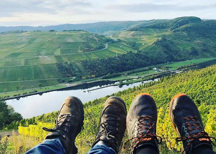 דירה Weingut & Gaestehaus Andreas Erz