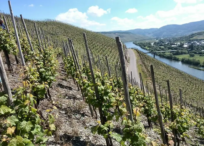 Weingut & Gaestehaus Andreas Erz דירה בראונברג