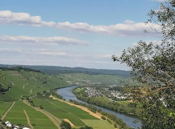 Weingut & Gaestehaus Andreas Erz * בראונברג