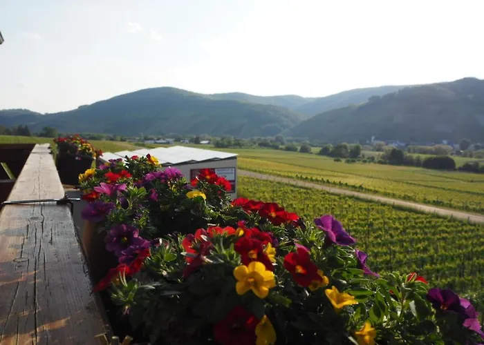 Weingut & Gaestehaus Andreas Erz * בראונברג