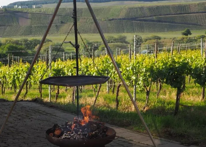 Weingut & Gaestehaus Andreas Erz *