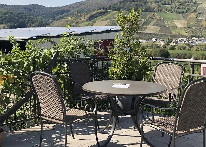 Weingut & Gaestehaus Andreas Erz * בראונברג