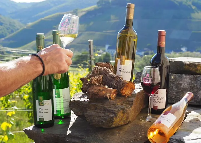 Weingut & Gaestehaus Andreas Erz דירה